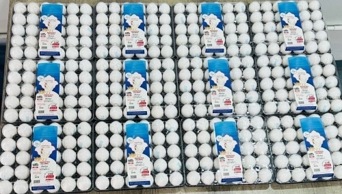 Premium Fresh Chicken Eggs 60g+